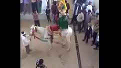 मम्मी ठण्ड तो कब के चली गई