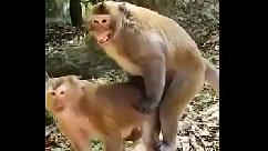 नेहा और सीमा की चुदाई